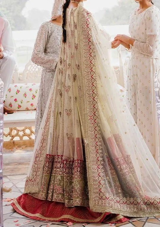 Akbar Aslam Keneel Pakistani Organza Anarkali